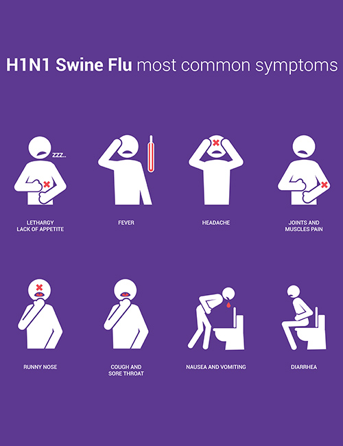 Symptoms Of Swine Flu Symptoms Of Swine Flu - Swine Flu