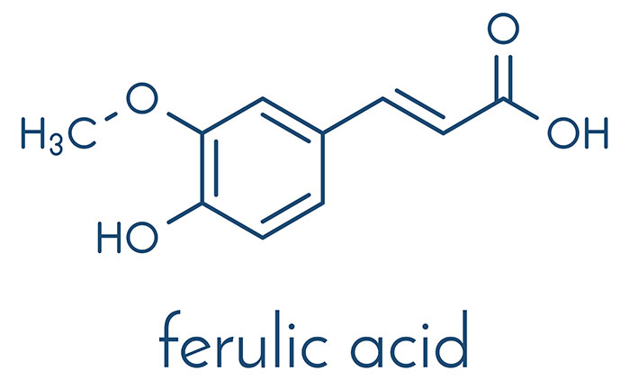 What Is Ferulic Acid