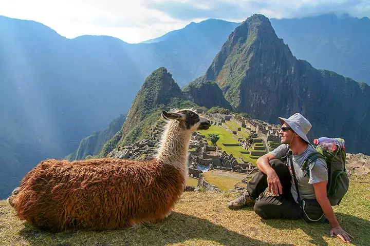 Encounter in the forest, facts about Machu Picchu for kids