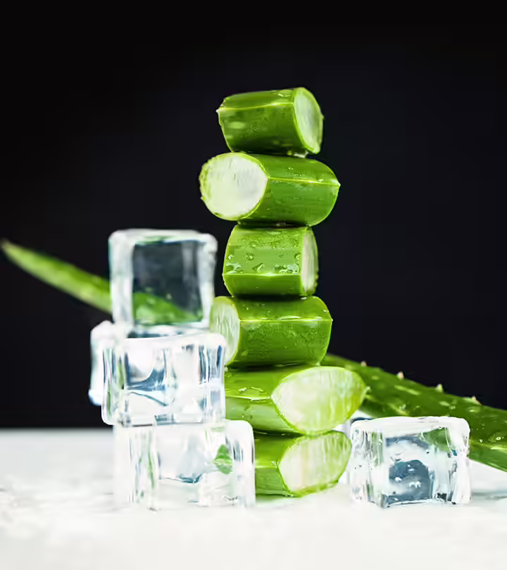 Aloe Vera Benefits in Tamil