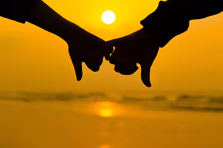 Companion For Life