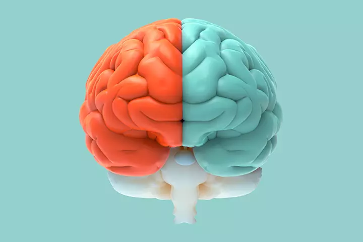 Different Types Of Hydrocephalus