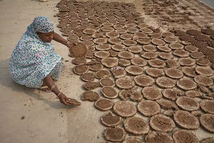 Extensive Use Of Cow Dung