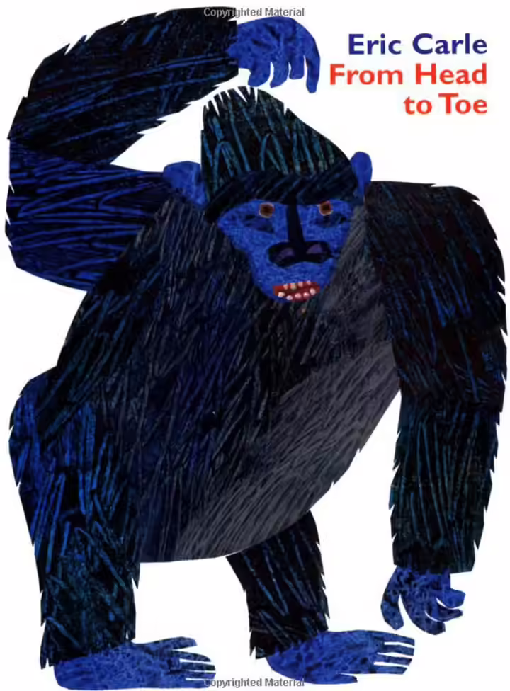 From Head to Toe