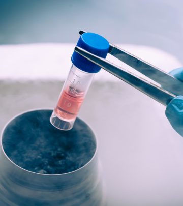 Frozen Embryo Transfer: Why And How Is It Done?