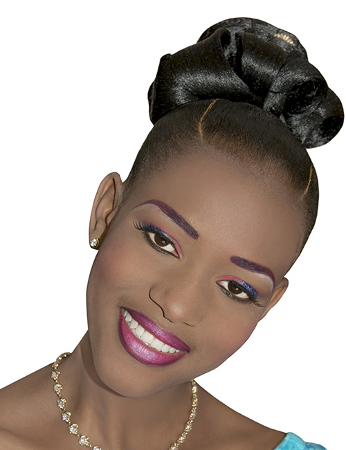 Sleek Braided Bun
