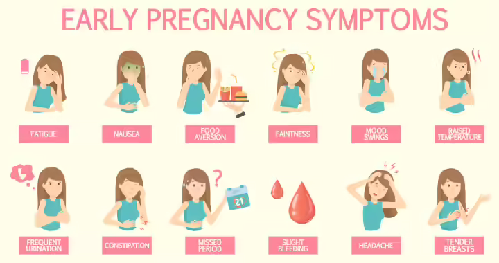 Pregnancy Symptoms