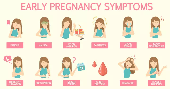 Pregnancy Symptoms