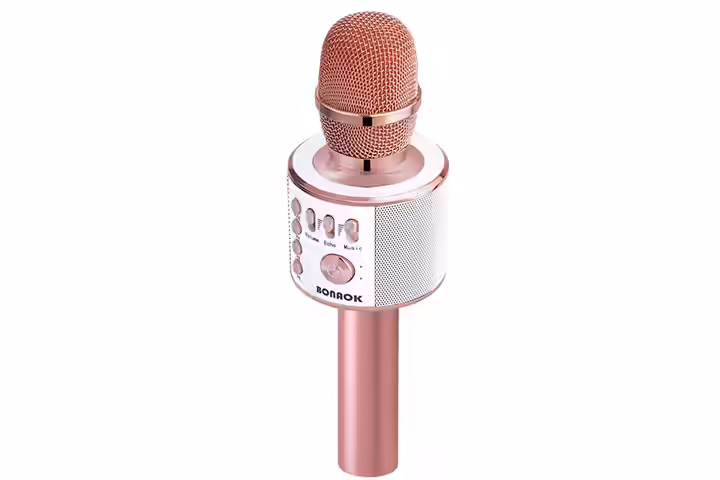 Karaoke Mic Speaker Machine