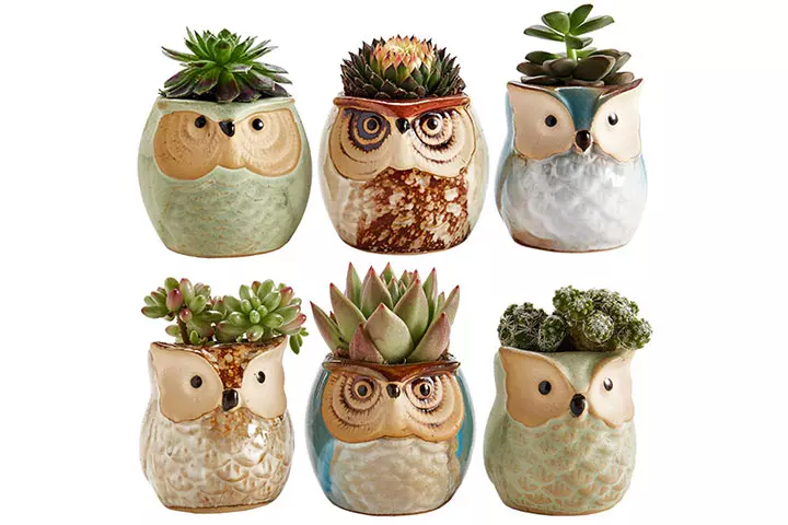 Owl ceramic pots