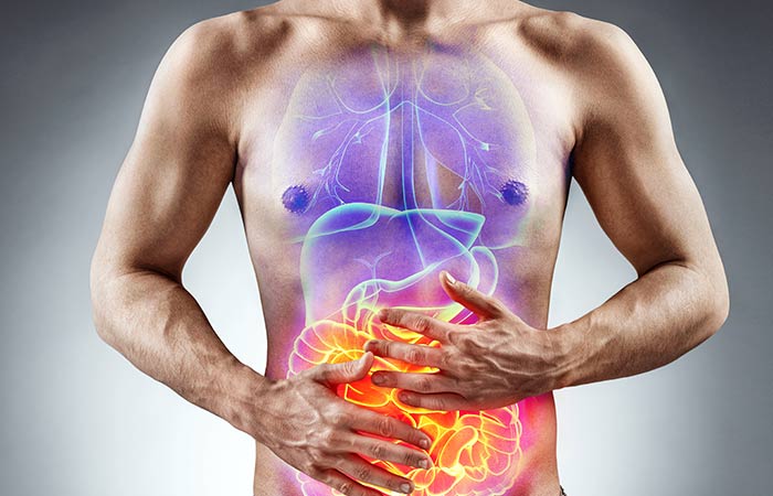 Role of digestion