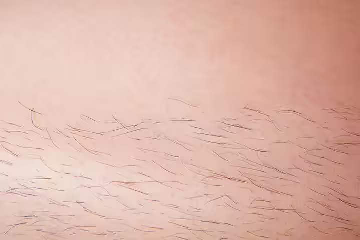 The Myth About Hair On The Belly