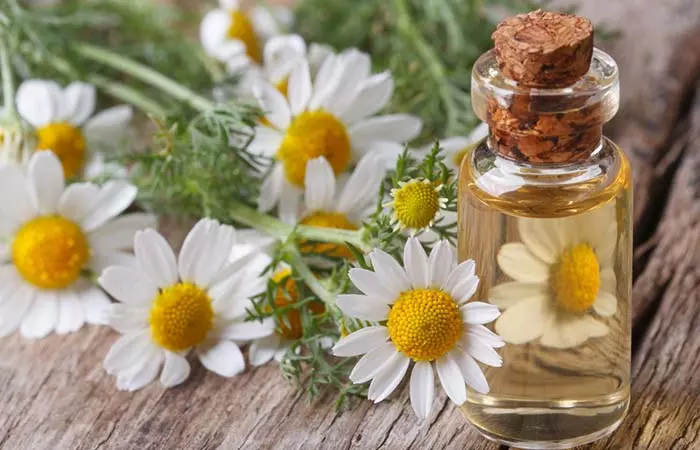 Chamomile Oil