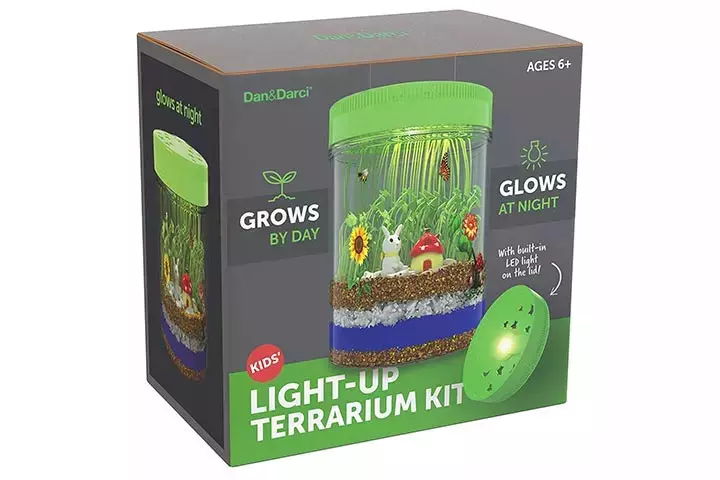 Dan and Darci Light-up Terrarium Kit for Kids