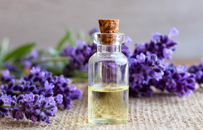 Lavender Oil Lavender Oil
