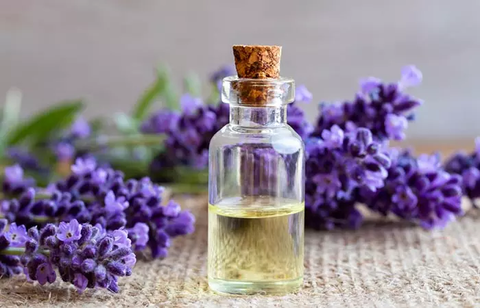 Lavender Oil