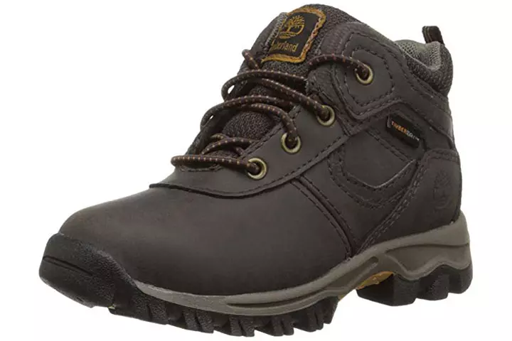 Timberland MT Maddsen Hiking Boot