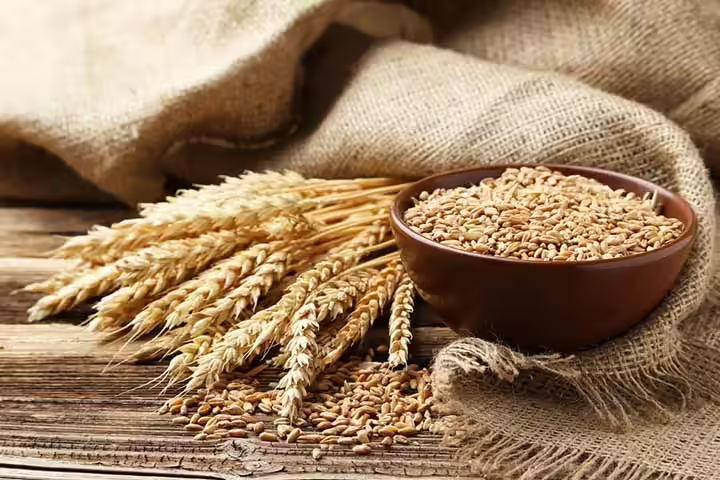 10. Wheat