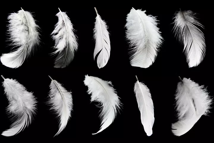 Feather Painting