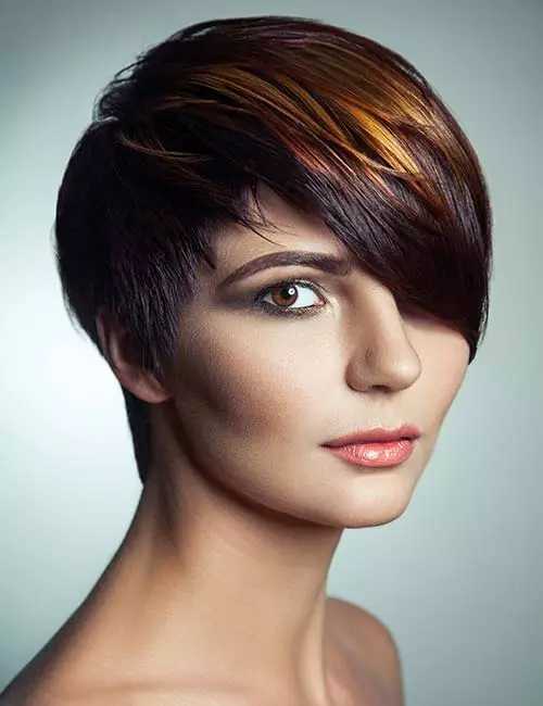 Highlighted Pixie Bob