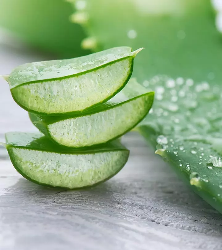 Aloe Vera Benefits, Uses and Side Effects in Bengali