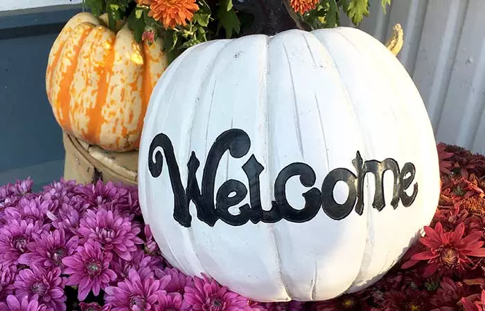 Halloween Message Pumpkins