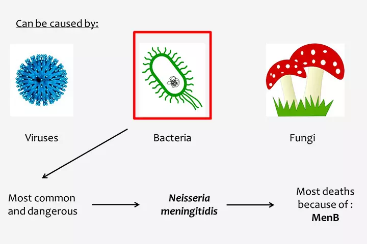 Meningococcal Meningitis