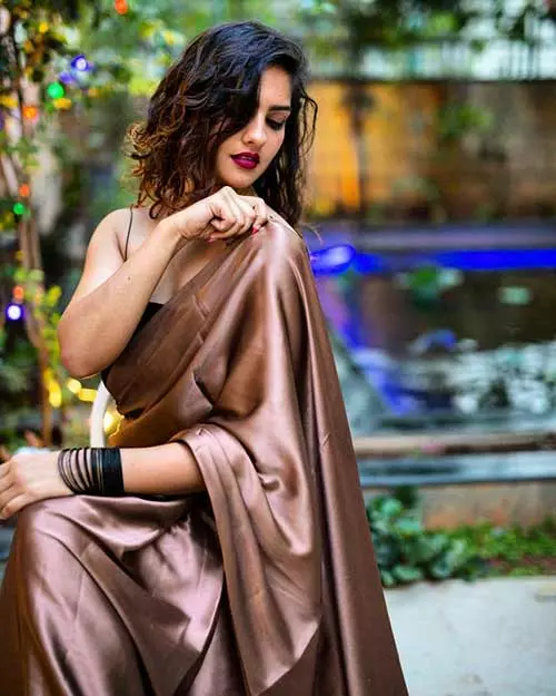 Metallic sheens saree