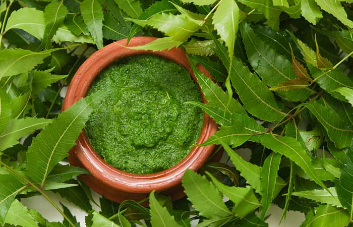 Neem leaves