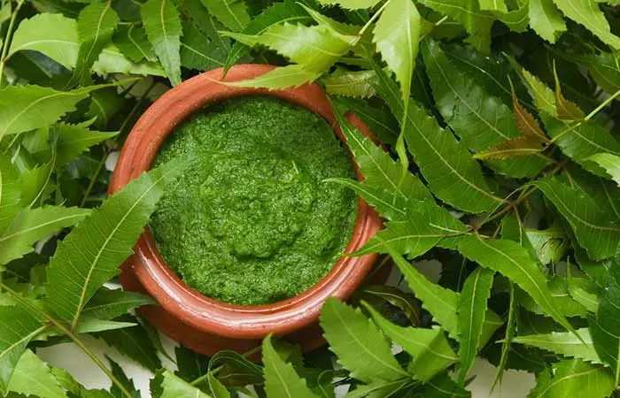 Neem leaves