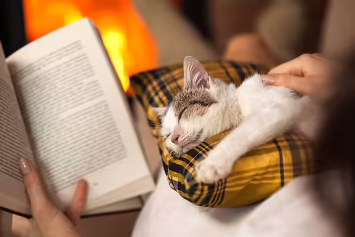 Find What Helps You To Decompress