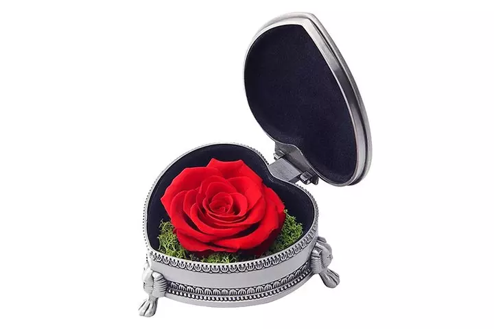 hey June preserved rose flower with gift box