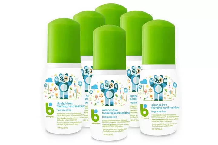 Babyganics Alcohol-Free Foaming Hand Sanitizer