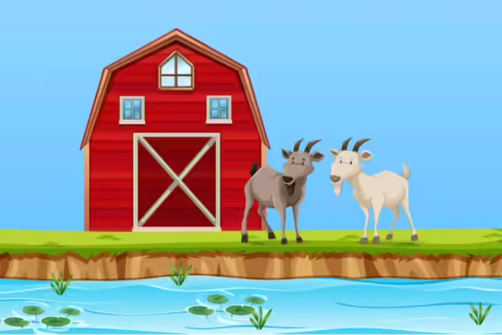 Two stupid goats