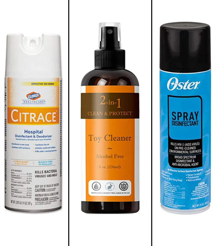 13 Best Disinfectant Sprays In 2020