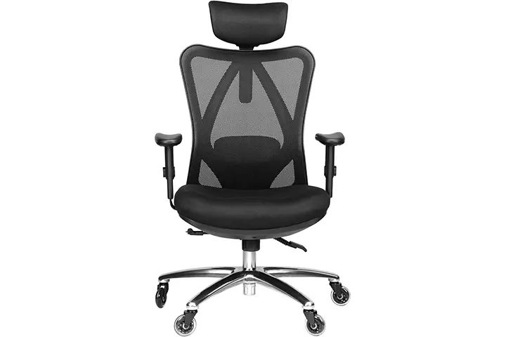 Duramont Ergonomic Adjustable Chair