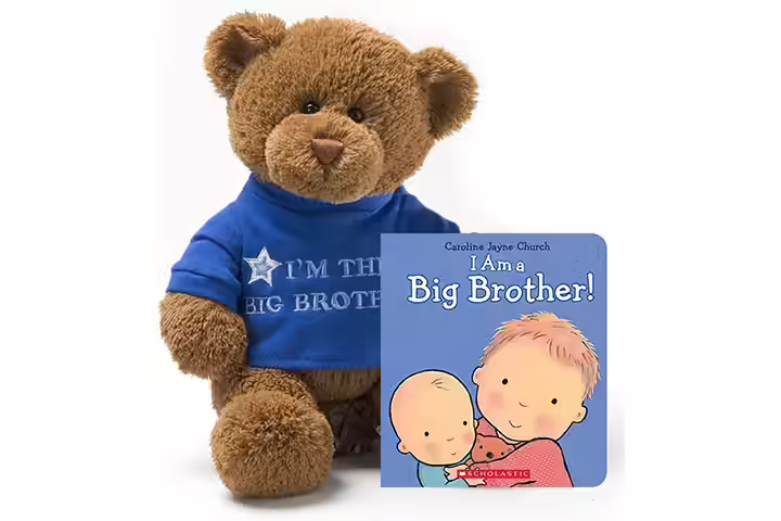 GUND T-Shirt Teddy Bear Plush