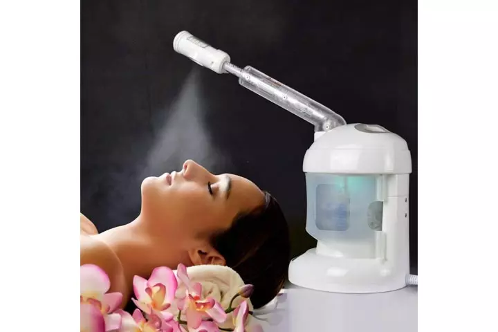 Kingsteam Facial Steamer with Extendable Arm