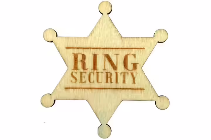 Ring Security Badge Breastpin