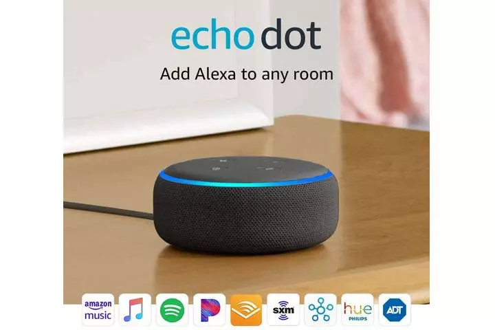 Smart speaker with Alexa