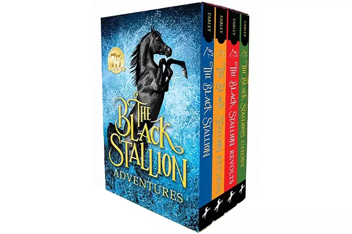 The Black Stallion Adventures - Box Set