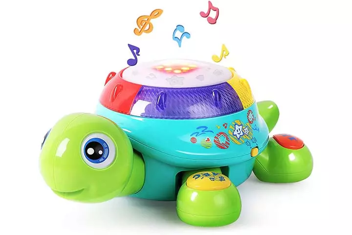 iPlay, iLearn Musical Turtle Toy