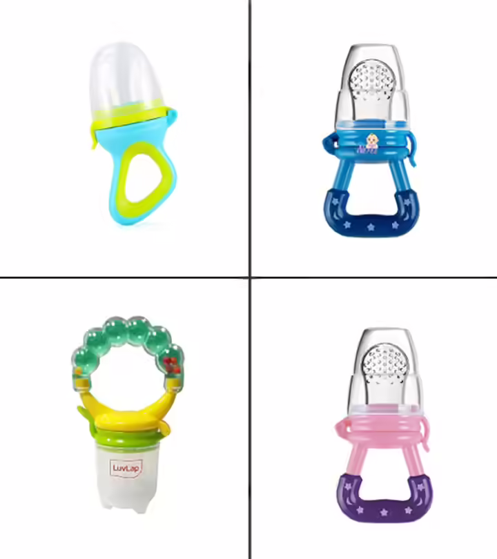 Best Food Nibbler For Babies