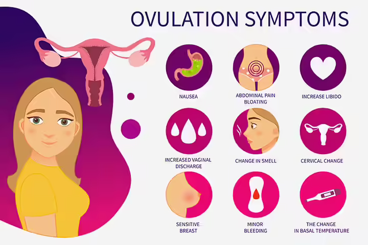 What are the signs of ovulation Tamil