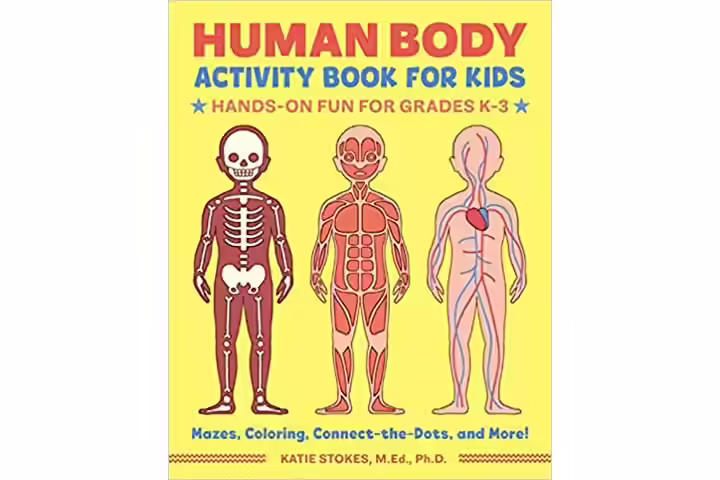 Human Body Activity Book For Kids