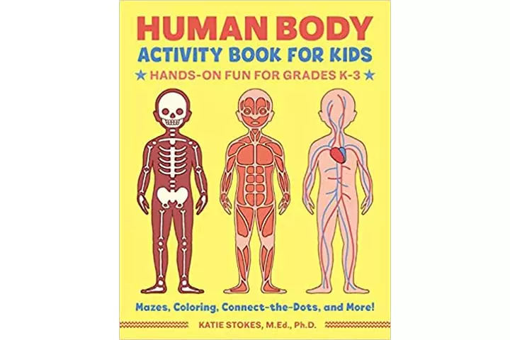 Human Body Activity Book For Kids 