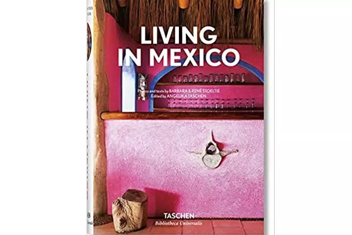 Living in Mexico by Barbara