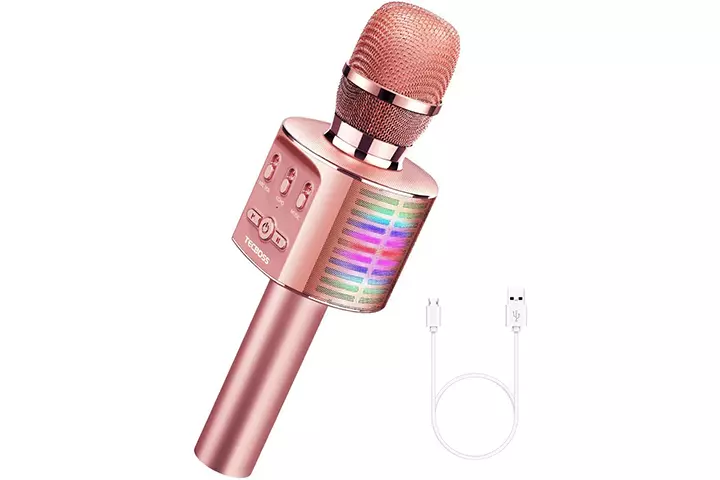 TECBOSS Microphone