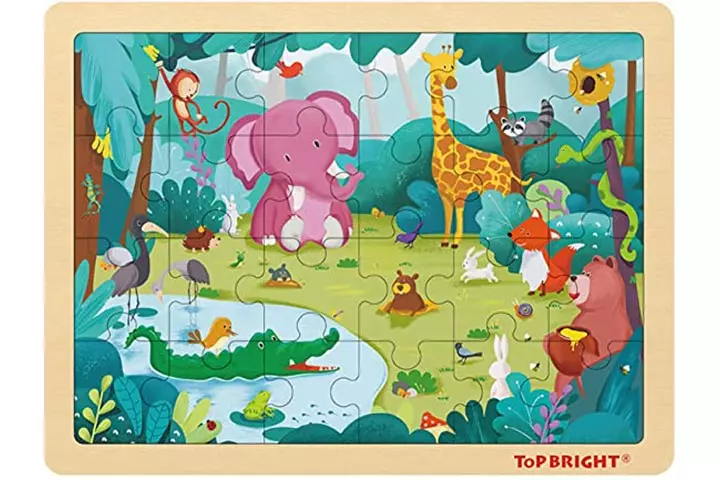 Top Bright Toddler Puzzles