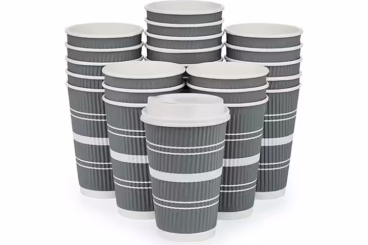 AVL Products Inc. Disposable Coffee Cups With Lids And Straws